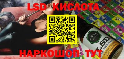 МДПВ Бийск