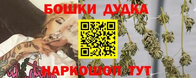 МДПВ Бийск