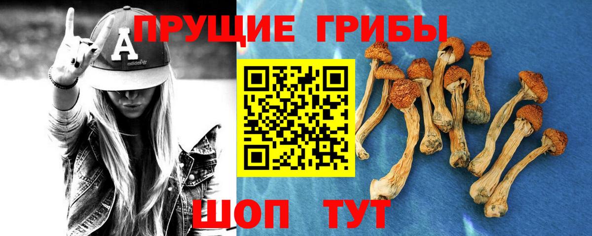 Галлюциногенные грибы MAGIC MUSHROOMS  Псилоцибиновые грибы Psilocybe  продажа наркотиков  Вход с VPN  Касимов 