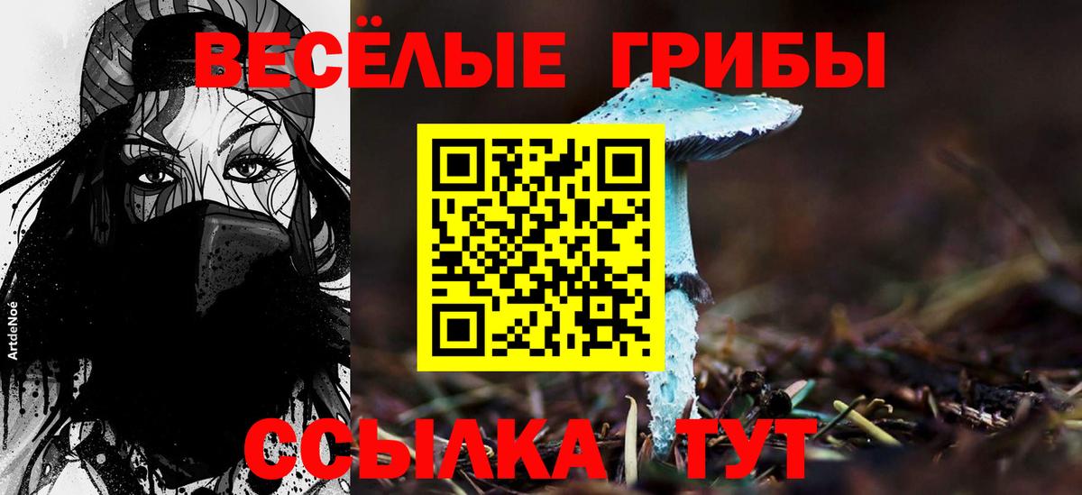 Псилоцибиновые грибы Cubensis Касимов