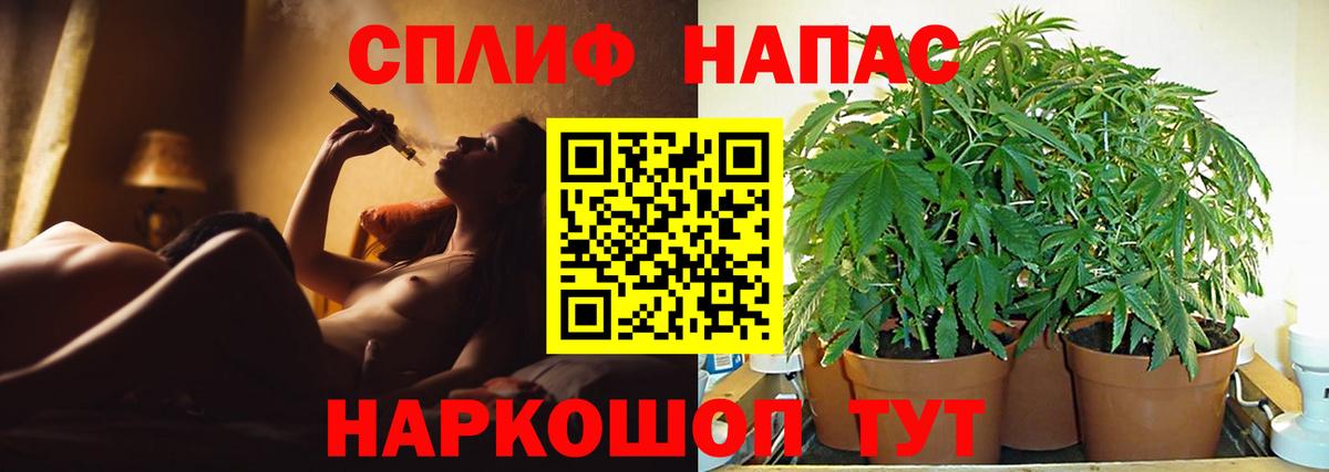 Конопля Amnesia Касимов